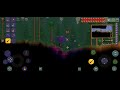 Killing animals in Terraria is fun