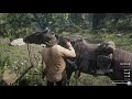 Everything You Need To Know About The Camp in Red Dead Redemption 2 - Red Dead Redemption 2 Gameplay
