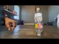 Impossible Bottle Flip Trickshots 6
