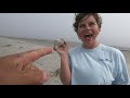 Our best SHELLING day! ***RARE Beachcombing finds in SC