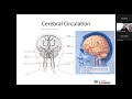 Stroke 101 - Neuroanatomy & Stroke Syndromes Review (Apr. 26, 2023)