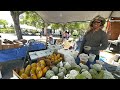 Đi chợ trời ở FLORIDA tháng 5 có trái cây gì không ? Vùng Tampa, Clearwater, st, Petersburg.