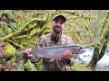 Steelhead Fishing Oregon