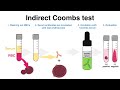 Coombs Test (antiglobulin test)