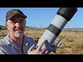 Canon RF200-800mm For Wildlife - First Impressions