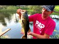 HAND FEEDING HUGE SNOOK AND BASS!!! POND MANAGEMENT UPDATE!!