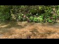 Flood waters busting out and running over the dirt road in the woods