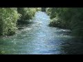 Soothing River flowing in the summer forest