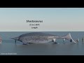Ancient Marine reptiles Size comparison 3D | 3d Animation Size Comparison