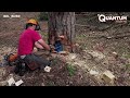 Amazing Tree Falling Technique with an Hydraulic Jack | by @belbobr