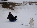 Sledding Crash