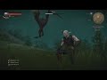 The Witcher 3: Oxenfurt Forest Griffin (Death March)