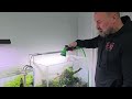 Step by Step Tutorial AQUASCAPE in 60cm/2ft AQUARIUM