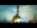 Heart Touching Beautiful New Naat - Shehar e Muhabbat -Hafiz Munir Ahmed - #Madina #woshehremohabbat