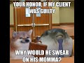 your honor, if my client was guilty...