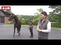 【イクイノックス】【キタサンブラック】最強親子の未公開！馬体の比較や性格の共通点などファン必見の話がたっぷり！