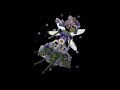 Fairy from Pressed flowers animated in After Effects. Fragments from tutorial.