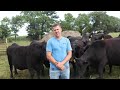 Nebraska Angus Tour | September 20 - 21, 2024