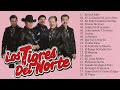 Los Tigres Del Norte Sus Mejores Canciones ~ Los Tigres Del Norte Mix 2024 Pa Pistear