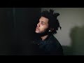 The Weeknd - The Birds Interlude (Unreleased) (Official Audio)