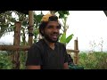 LIVING IN GHANA | RUNNING A 10 ACRE FARM GROWING FRUIT & VEG AS A BUSINESS | Agriculture