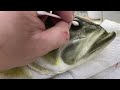 HOW A YOUTUBER PAINTS A REPLICA LARGEMOUTH BASS