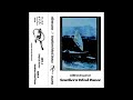 FGI006 - silentwave - Southern Wind Dance