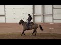 Teach your horse to lope SLOWER using this exercise!