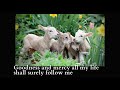 Psalm 23 lyrics, Crimond, Scottish Psalter