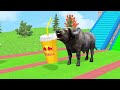 Choose Right Drink with Elephant Cow Gorilla Lion Buffalo T-Rex Wild Animals Games