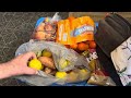 FOOD PANTRY !!!  FOOD BANK HAUL !! #16 3-7-2024 GROCERY HAUL!!