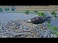 Hellgate Ospreys 07/14/2024 21:57