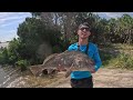 Bridge Fishing A Creek For A Monster!