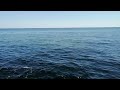 Звуки моря, ветра и 🌊прибоя🎧 для спокойного, крепкого сна и исцеления нервной системы.