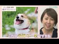 【前向きに？カメラにときめく女子レーサー】西岡育未＆薮内瑞希＆生田波美音｜ぼ～っと女子バナ日和#25～水上のカメラマン？な女子バナ～｜女子レーサー｜ボートレース