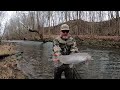 Streamer Fishing For Big Winter Browns & Bow #stcroix #fishing #trout