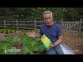 Top 10 Tips For a Thriving Organic Vegetable Garden