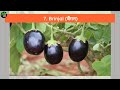 10 सब्जियां गर्मियों में उगने वाली  | 10 Vegetables to Grow in Summers