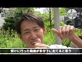 【箭内翔太SP】平沢大河に真っ直ぐ宣言/素行不良で公式戦出場0/NPB入りにあと一歩/クーニンTVとの出会い