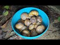 Snails walk after rain so cute all #snail #baby #bigsnail