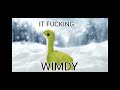 WIMDY NESSIE