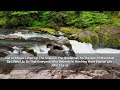 Eternal Life | Meditation with Nature and Scripture for prayer & devotional