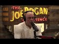 Joe Rogan Experience #1893 - Will Harris