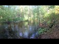 Trout Stream Central Wisconsin Woods HD 1080P