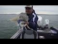 INSANE BIG LAKE TROUT ACTION - FORT PECK MONTANA