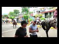 Cabalgata Santiago Tuxtla 2024