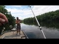 Feeding Frenzy on the Juniata River