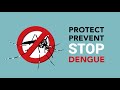 The Symptoms of Dengue