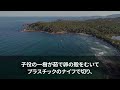 【感動する話】自転車に乗っていた小学生が急に倒れ急いで助けた俺。会社に遅刻の連絡をすると上司「は？ガキ助けて遅刻？クビだなw」母親「私の不注意のせいで…お勤め先はどちらで_」俺「〇〇株式会社です」翌日