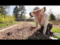 PLANTS instead of LANDSCAPE FABRIC: a deep mulch system to feed garden soil!